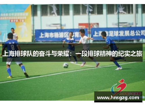 上海排球队的奋斗与荣耀：一段排球精神的纪实之旅