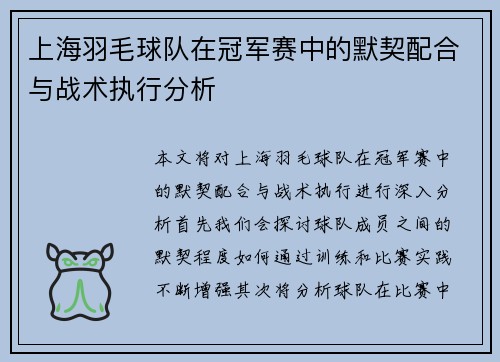 上海羽毛球队在冠军赛中的默契配合与战术执行分析