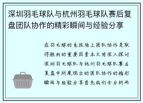 深圳羽毛球队与杭州羽毛球队赛后复盘团队协作的精彩瞬间与经验分享