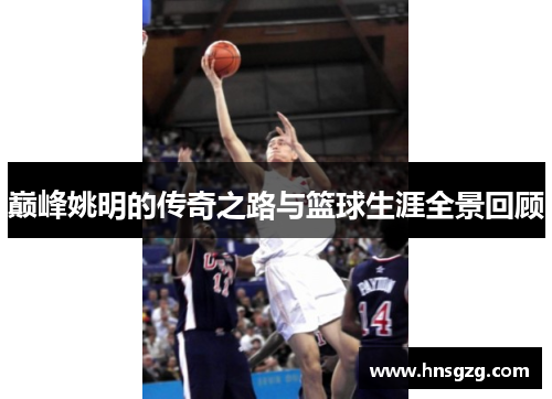 巅峰姚明的传奇之路与篮球生涯全景回顾