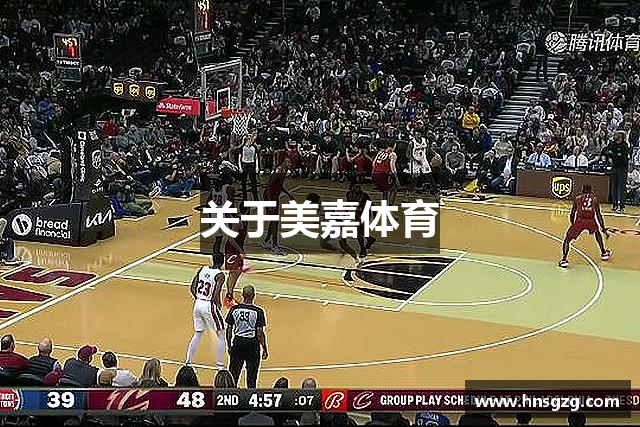 关于美嘉体育